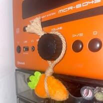 rayray 爱来自好莱坞